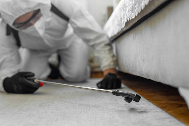 Professional Bed Bug Control technician working in Rochester, MN