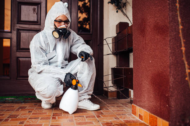 Reliable Bed Bug Control contractor in Rochester, MN by Nex Pest Control